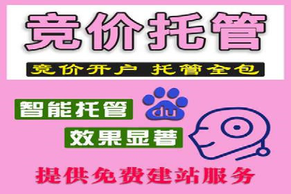 某某SEM服务公司：一例广告投放的优化与成果